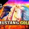 Mustang Gold