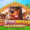 The Dog House Megaways