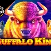 Buffalo King